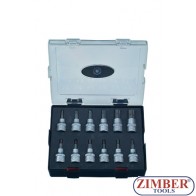 Trusa capete profil Torx 3/8" - 12 buc. - FORCE.