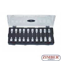 Trusa capete profil Torx 1/2" - 20 buc.- FORCE