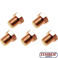 Set busoane ulei M13 x 1.5 mm, 5buc (126-SM13) - BGS technic